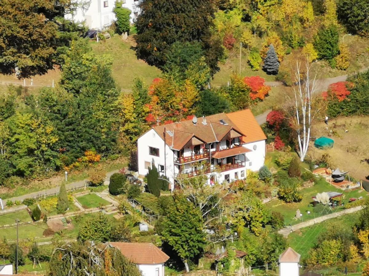 דירות Schönau Haus Katz מראה חיצוני תמונה
