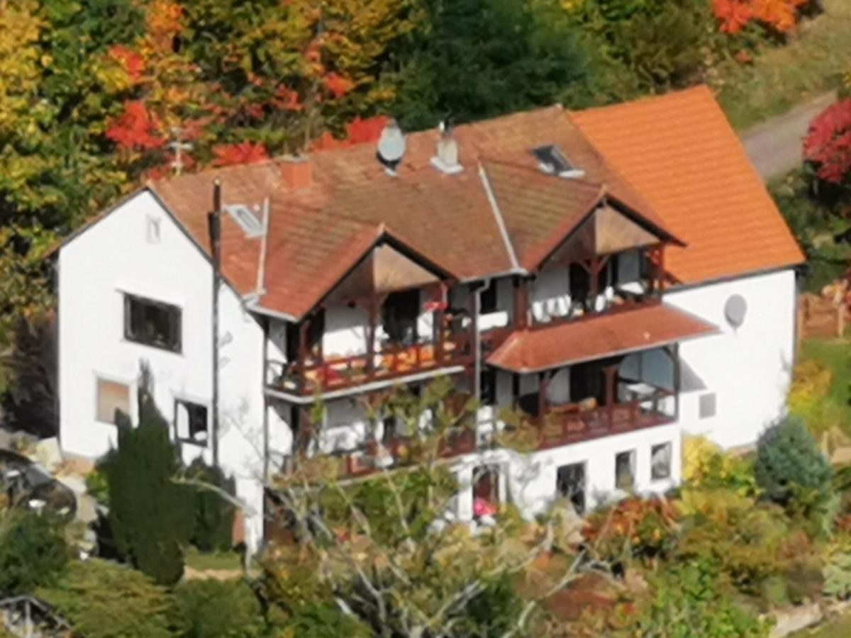 דירות Schönau Haus Katz מראה חיצוני תמונה